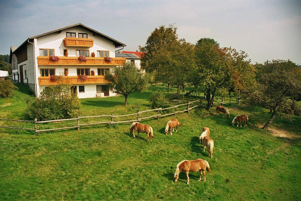 Апартаменты Biobauernhof Wolf-Hof Пресбаум Экстерьер фото
